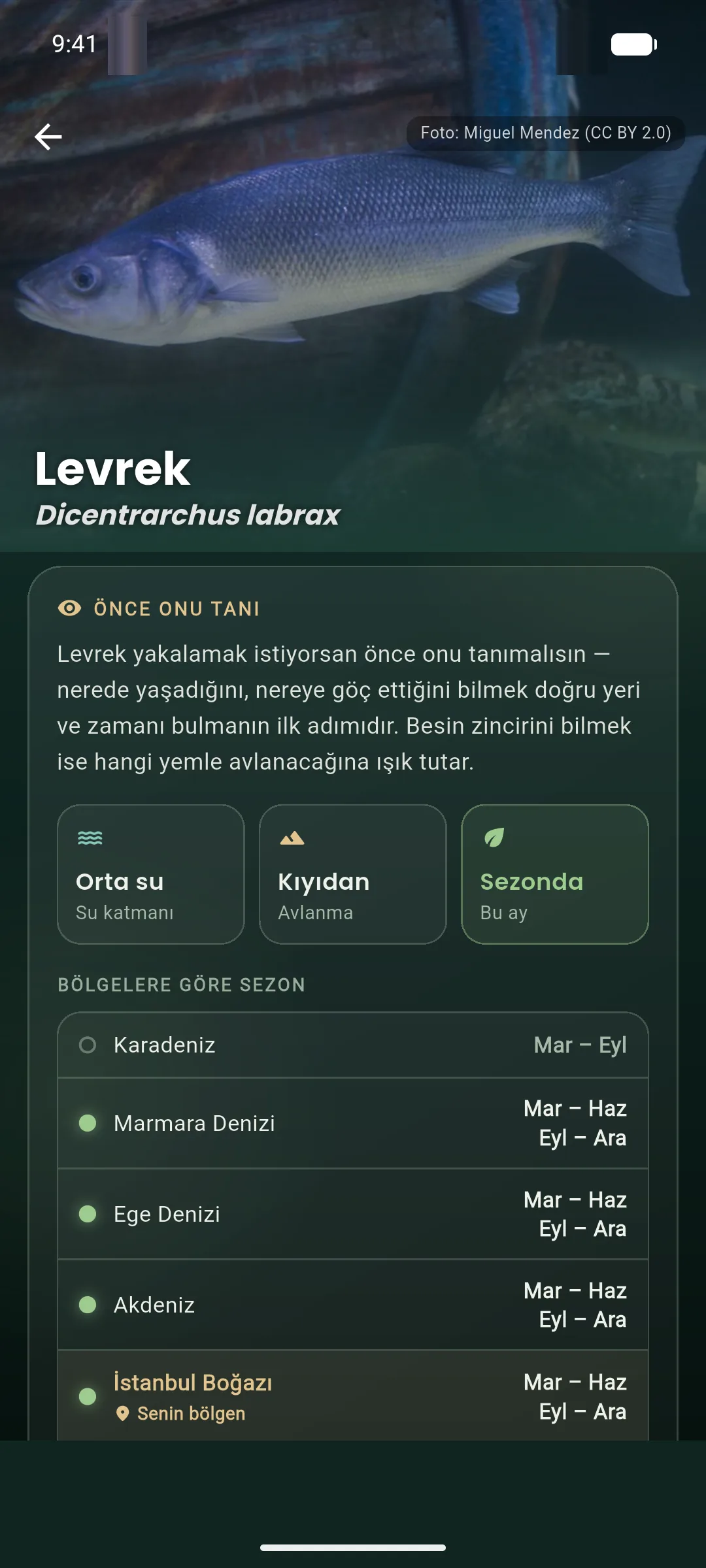 Balık tanıma sayfası